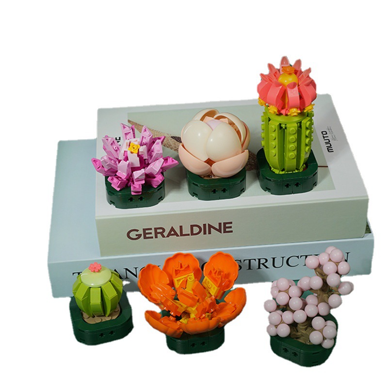 JK2728(1-6)多肉拼盤